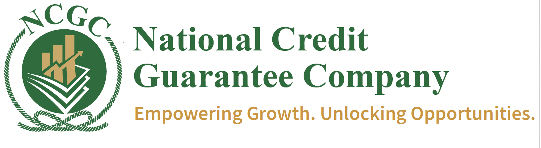 Nigerian Consumer Credit Corporation (NCGC)